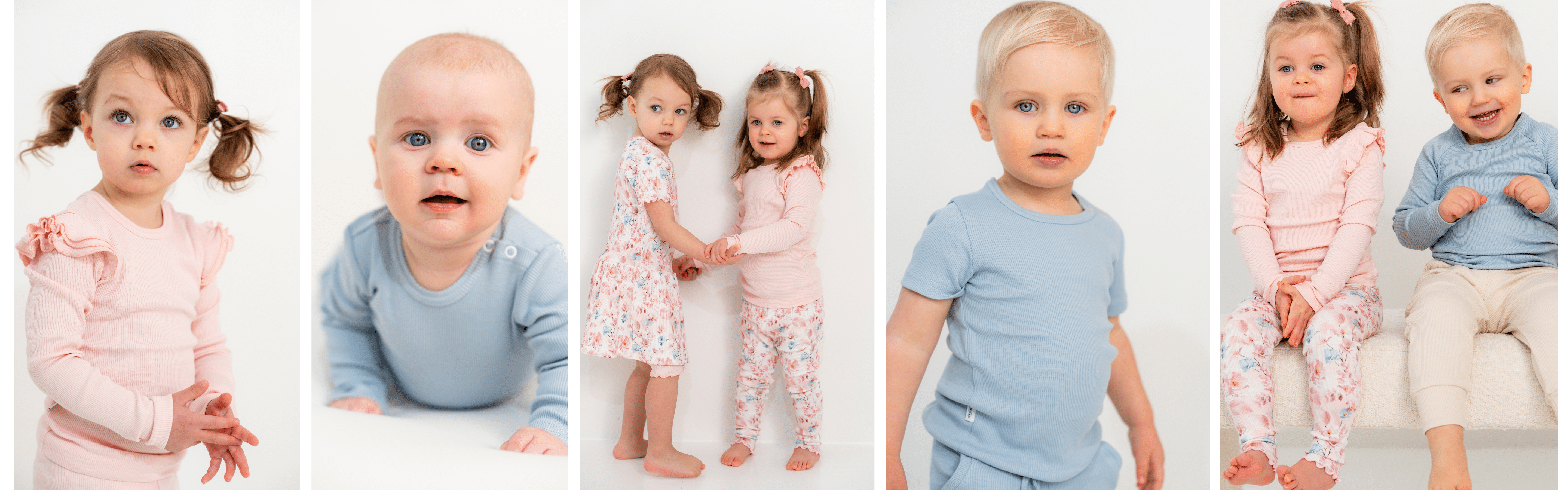 DAISY RIB COLLECTION - Gugguu.com