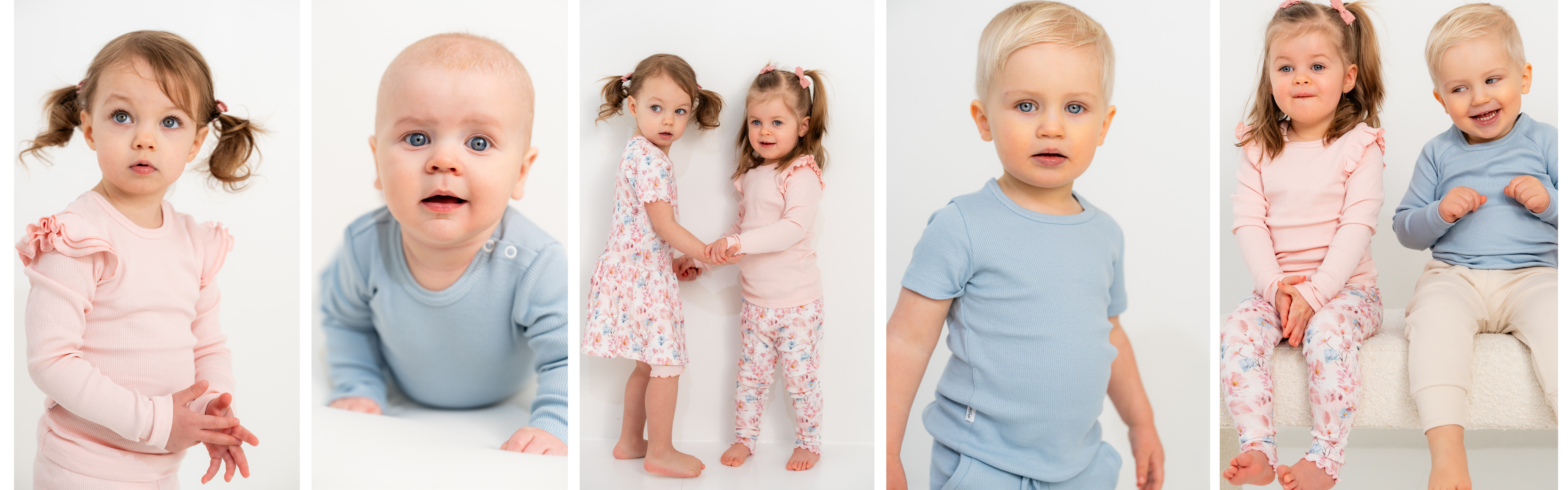 DAISY RIB COLLECTION