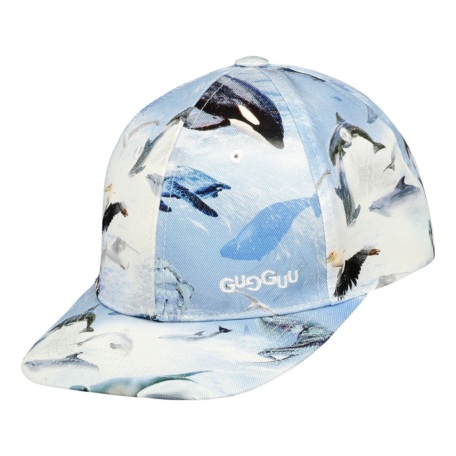 #väri_dolphins