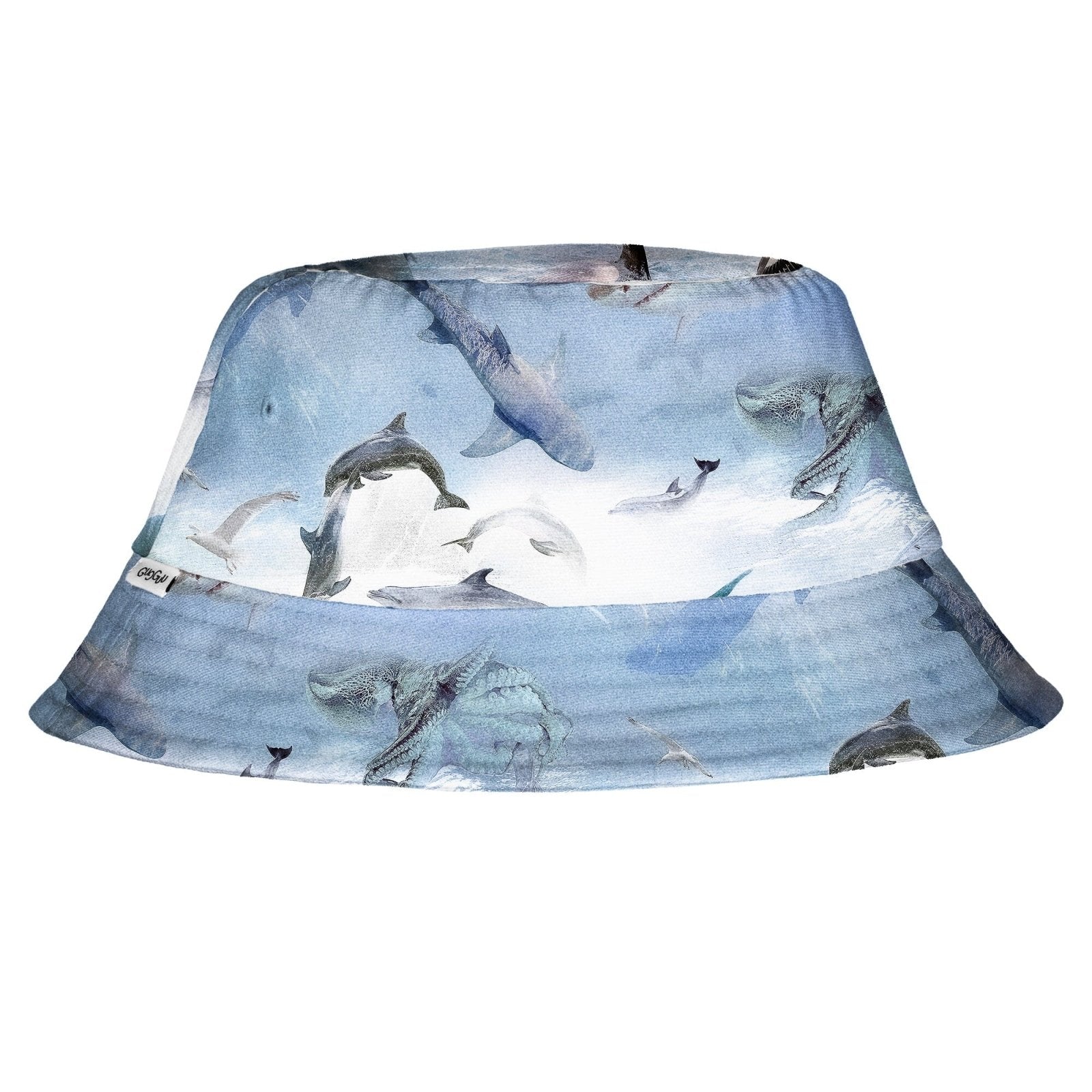 #väri_dolphins